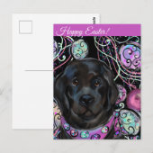 Newfoundlandhond   briefkaart (Voorkant / Achterkant)