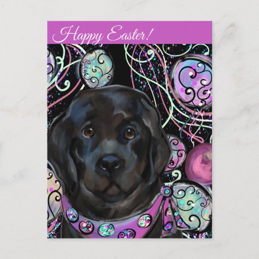 Newfoundlandhond   briefkaart (Voorkant)