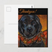 Newfoundlandhond briefkaart (Voorkant / Achterkant)