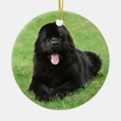 Newfoundlandhond Keramisch Ornament (Voorkant)