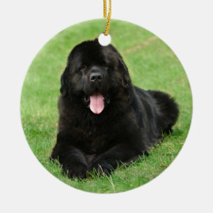 Newfoundlandhond Keramisch Ornament