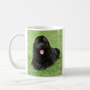 Newfoundlandhond Koffiemok