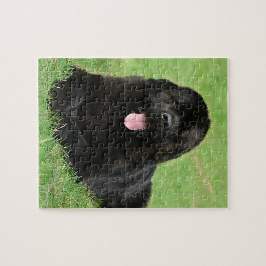 Newfoundlandhond Legpuzzel (Horizontaal)