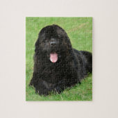 Newfoundlandhond Legpuzzel (Verticaal)