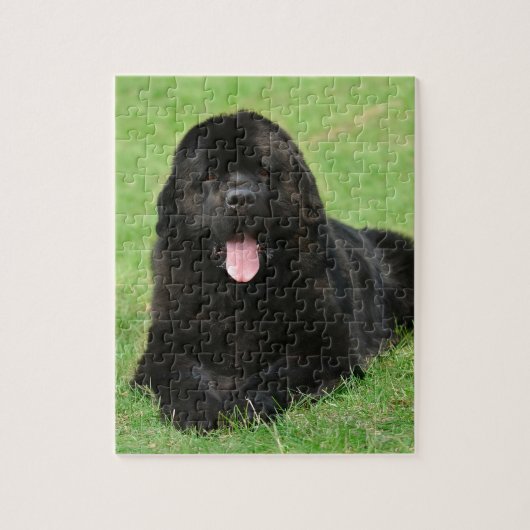 Newfoundlandhond Legpuzzel (Verticaal)