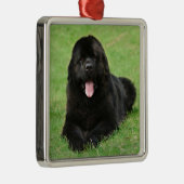 Newfoundlandhond Metalen Ornament (Rechts)