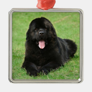Newfoundlandhond Metalen Ornament