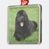 Newfoundlandhond Metalen Ornament (Links)