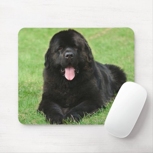 Newfoundlandhond Muismat (Met muis)