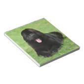 Newfoundlandhond Notitieblok (Schuin)