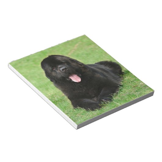 Newfoundlandhond Notitieblok (Schuin)