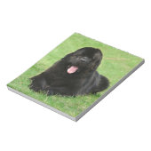 Newfoundlandhond Notitieblok (Linkerzijde)