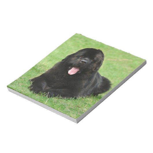 Newfoundlandhond Notitieblok (Linkerzijde)
