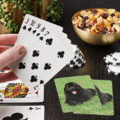 Newfoundlandhond Pokerkaarten (Insitu)