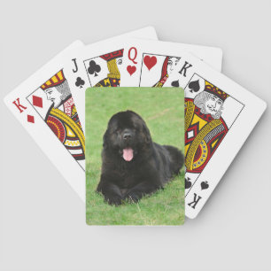 Newfoundlandhond Pokerkaarten