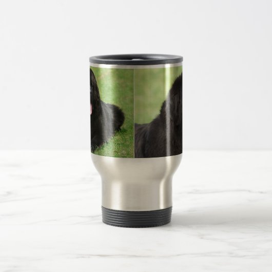 Newfoundlandhond Reisbeker (Center)