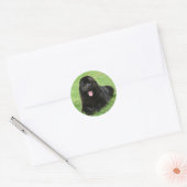 Newfoundlandhond Ronde Sticker (Envelop)