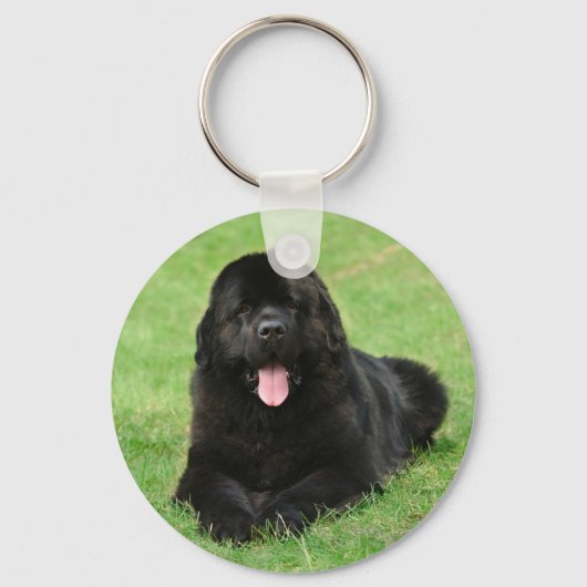 Newfoundlandhond Sleutelhanger (Voorkant)