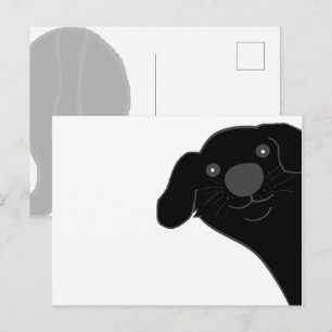 Newfoundlandhond Zwart Kijken Cartoon Briefkaart