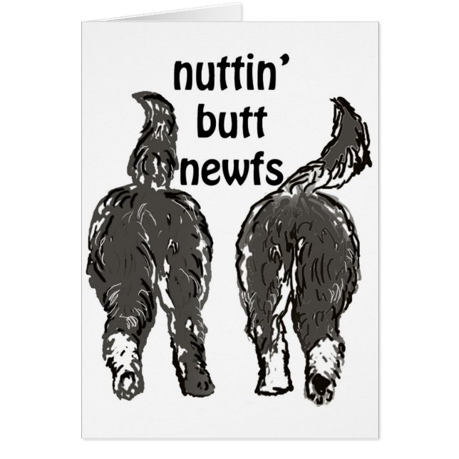 Newfoundlandhonden (Voorkant)