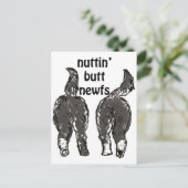 Newfoundlandhonden Briefkaart (Staand voorkant)