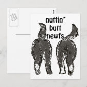 Newfoundlandhonden Briefkaart (Voorkant / Achterkant)