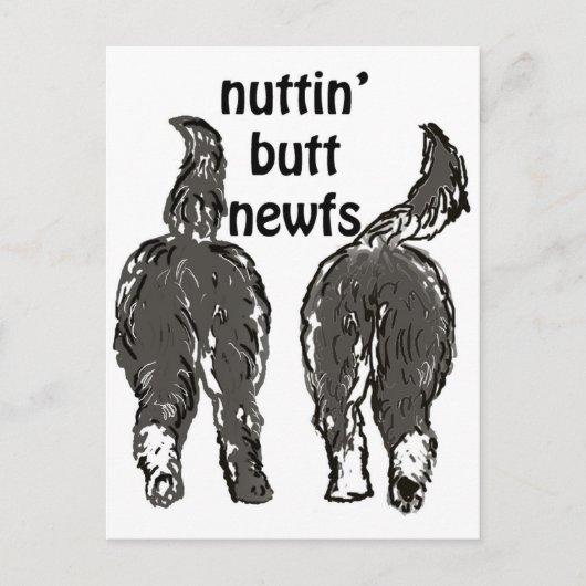 Newfoundlandhonden Briefkaart (Voorkant)