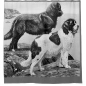Newfoundlandhonden -  illustratie douchegordijn (Voorkant)