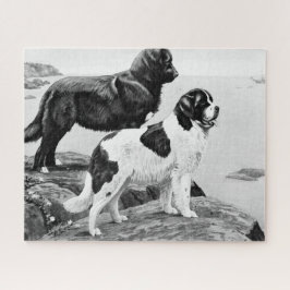 Newfoundlandhonden -  illustratie legpuzzel