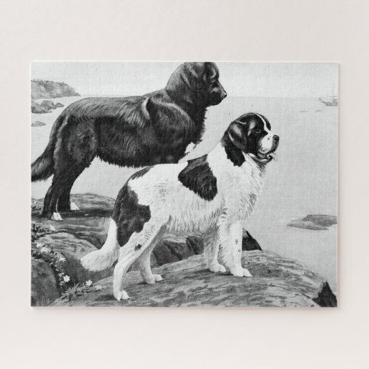 Newfoundlandhonden -  illustratie legpuzzel (Horizontaal)