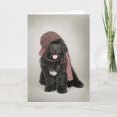 Newfoundlandpuppy Feestdagen Kaart (Voorkant)