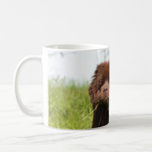 Newfoundlandpuppy Koffiemok (Links)