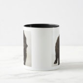 Newfoundlandpuppy, studio shot mok (Midden)