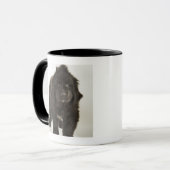 Newfoundlandpuppy, studio shot mok (Voorkant links)