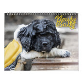 Newfy Baby Kalender (Hoes)