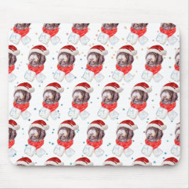 Newfypoo-hondras Christmas Stars Muismat