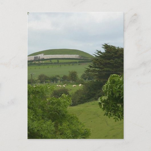 Newgrange Passage Tomb Briefkaart (Voorkant)