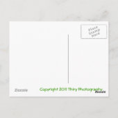 Newkirk 2 briefkaart (Achterkant)