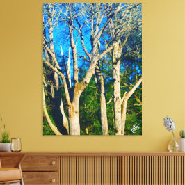 Newman Rd Whidbey Island Bomen #1 Canvas Afdruk