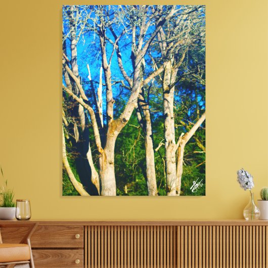 Newman Rd Whidbey Island Bomen #1 Canvas Afdruk (Insitu (Woonkamer))