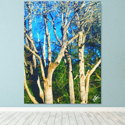 Newman Rd Whidbey Island Bomen #1 Canvas Afdruk (Insitu (Houten vloer))