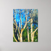 Newman Rd Whidbey Island Bomen #1 Canvas Afdruk (Voorkant)