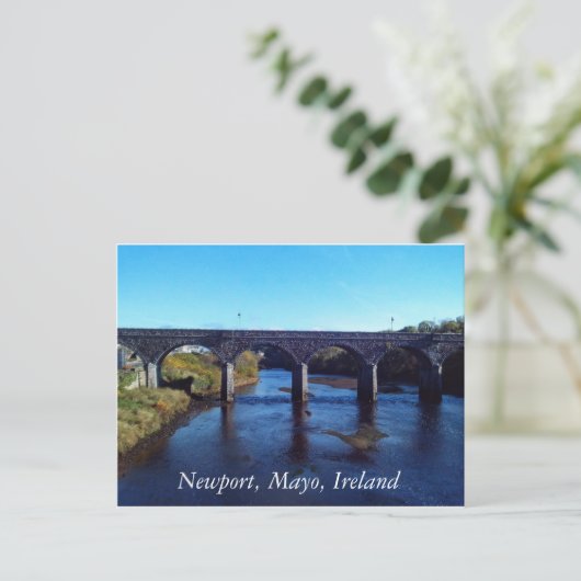 Newport, Co Mayo Briefkaart (Staand voorkant)