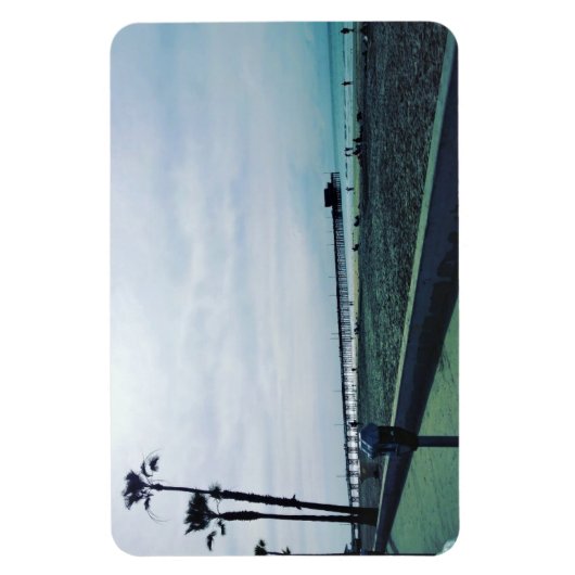 Newport Pier, Newport Beach, Californië Magneet (Verticaal)