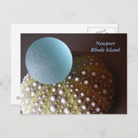 Newport Rhode Island ~ Post Card Briefkaart (Voorkant / Achterkant)