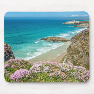 Newquay-strand in North Cornwall, wild bloemen kli Muismat