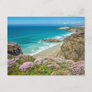 Newquay-strand in North Cornwall, wilde bloemen kl Briefkaart