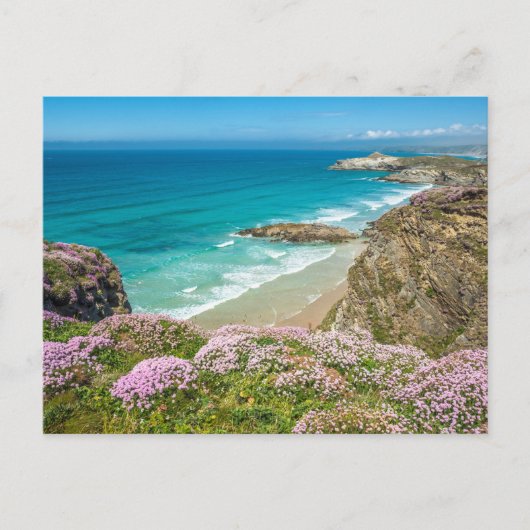 Newquay-strand in North Cornwall, wilde bloemen kl Briefkaart (Voorkant)