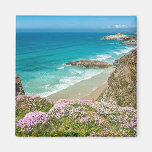 Newquay-strand in North Cornwall, wilde bloemen kl Magneet