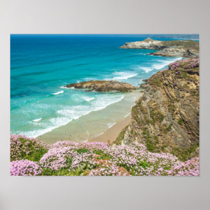 Newquay-strand in North Cornwall, wilde bloemen kl Poster